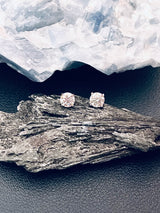 RUBY - Classic 1ct Round Moissanite Stud Earrings In Silver