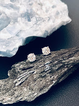 RUBY - Classic 1ct Round Moissanite Stud Earrings In Silver