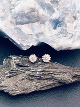 GRACE - 1ct Round Brilliant Moissanite Stud Earrings In Silver